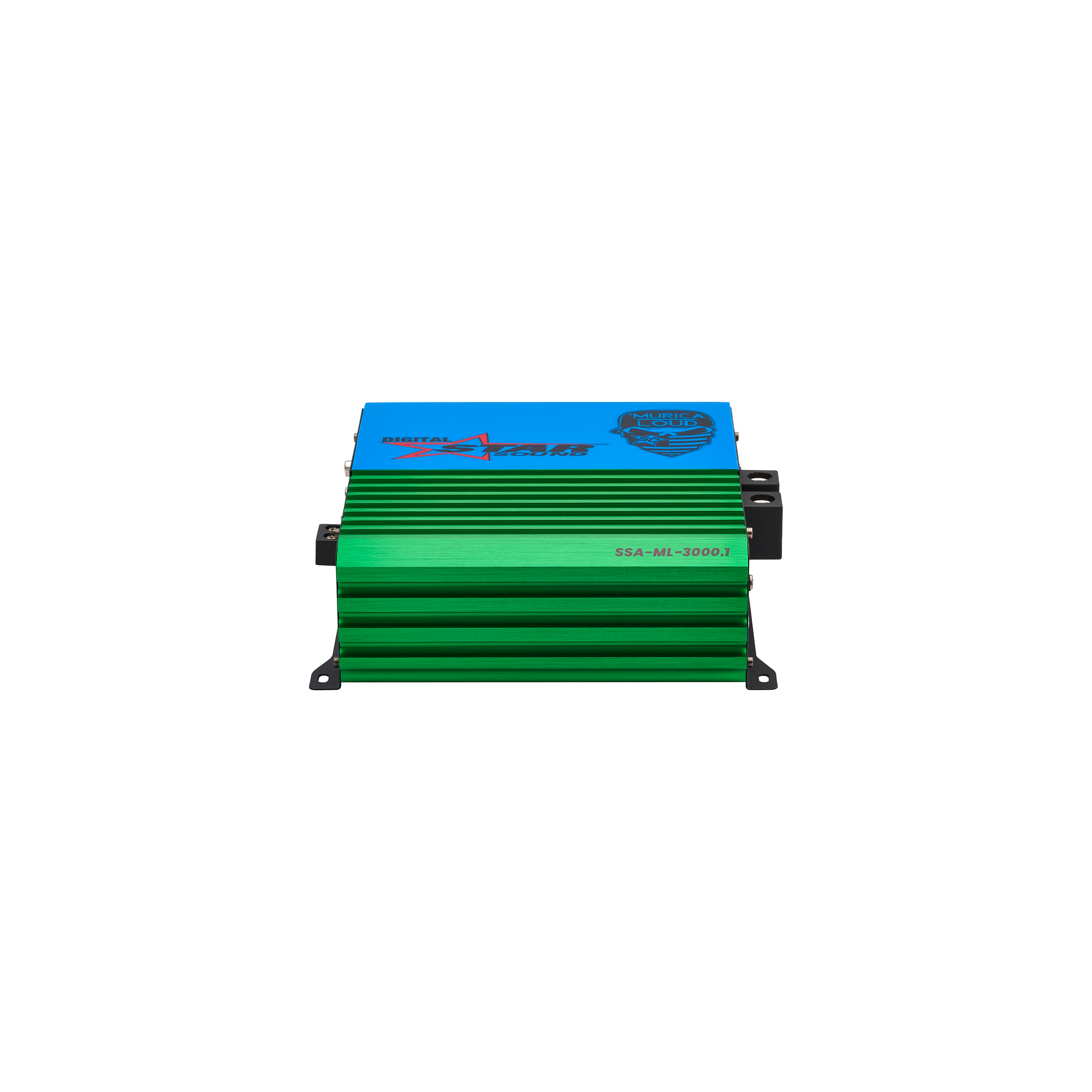 SSA-ML – 3000.1_WEB_PIC_2